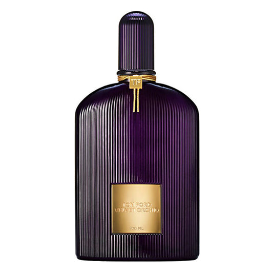 Velvet Orchid